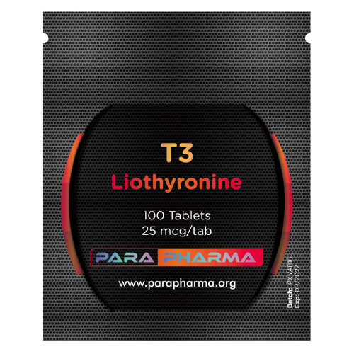 T3