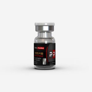 Testo P100